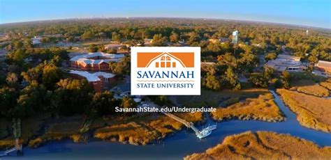 A Brightspace course site allows "anytime, anywhere" access to syllabi, readings, multi-media files, electronic drop boxes, online quizzes, communication, grading, student progress reports, etc. . Savannah state d2l